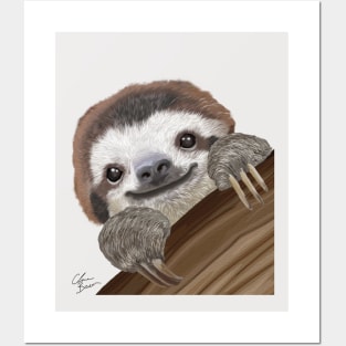 Cute and Colourful Baby Sloth Posters and Art